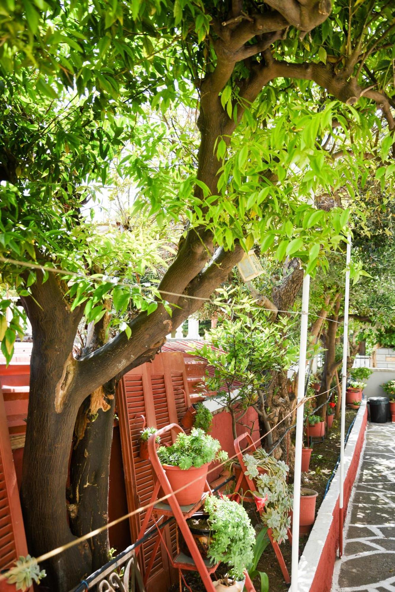 Ferienwohnung Rent House Daphne Kavala Exterior foto
